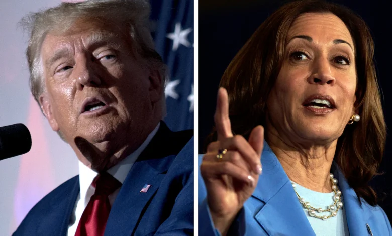 Why Trump and Harris battle for Black voters in must-win Georgia?