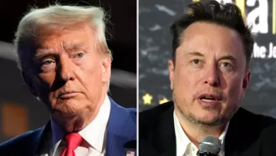 Elon Musk’s Influence with Trump: How His Power Could Propel Tesla, SpaceX, and Beyond