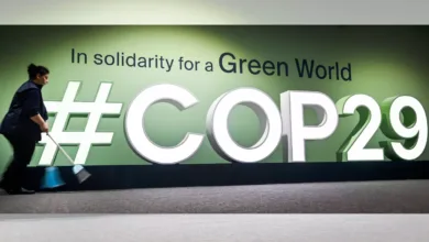 COP29: Historic Agreement Sets Global Carbon Credit Trading in Motion