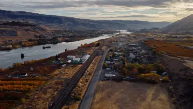 AI-Driven Growth in Washington