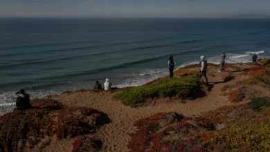 California Tsunami Awareness and Preparedness