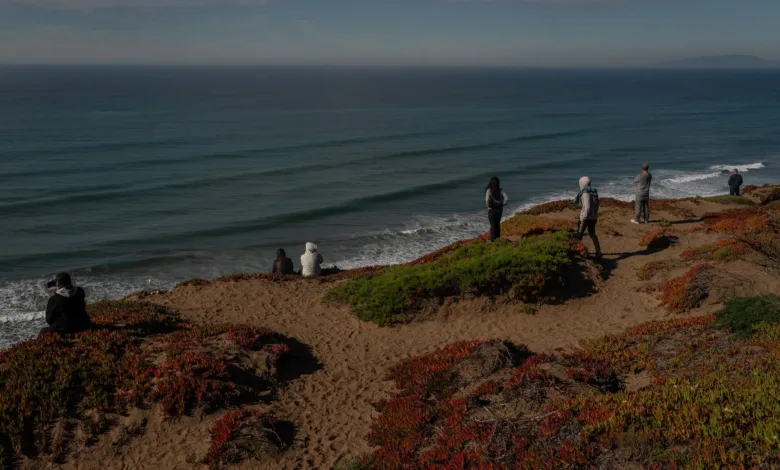 California Tsunami Awareness and Preparedness