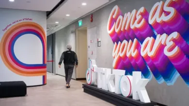 TikTok U.S. Ban Legal Setback