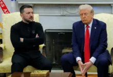 Zelenskyy Trump cooperation